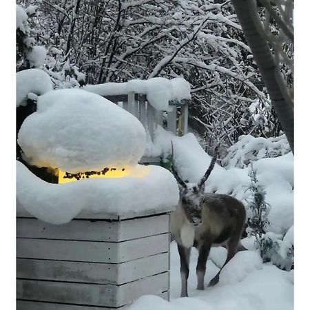 Snowcrystal Home With Jacuzzi And Sauna โรวานิเอมิ ภายนอก รูปภาพ